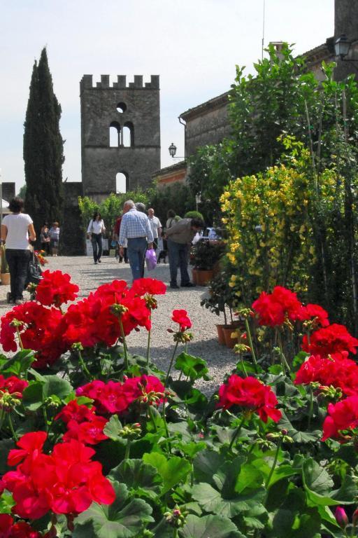 Castellaro Antica Dimora Dell'Ortolanoアパートメント エクステリア 写真